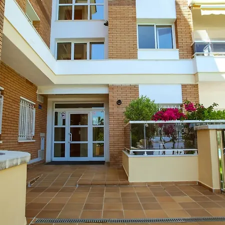 Pintor New Modern